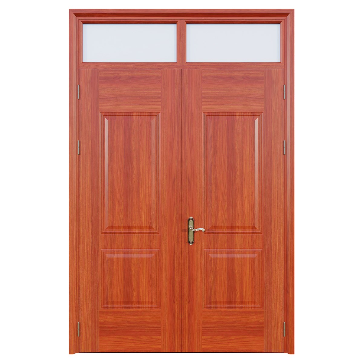 Cửa thép vân gỗ 2 cánh cân